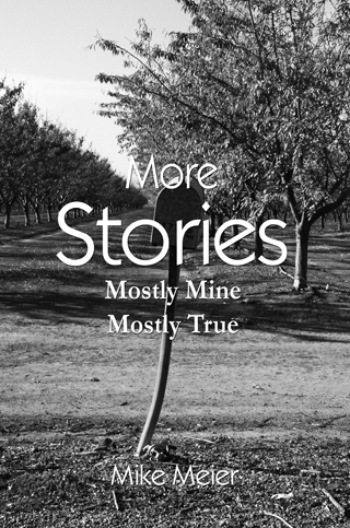 More Stories Book Cover