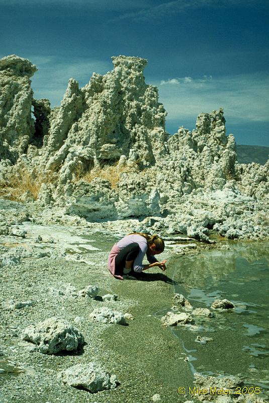 MonoLake-1999-196.jpg - Investigating Mono Lake brine shrimp