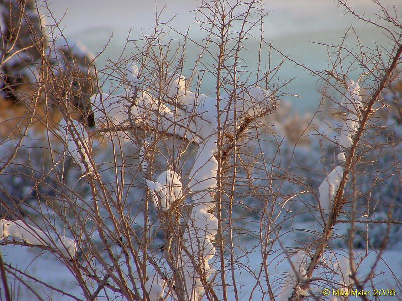 MonoLake-2004-07.jpg - Mono Lake Fresh Snow Sunrise