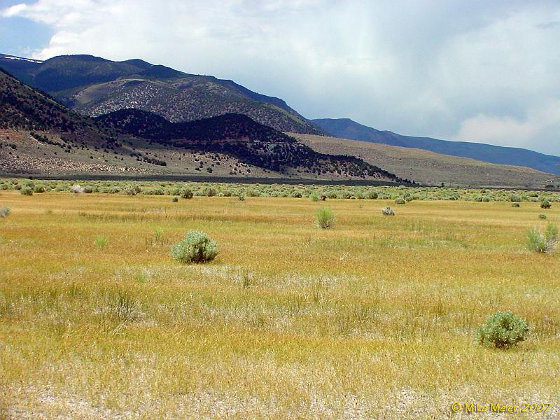 MonoLake-2006-01.jpg - Grassy area just south of Mono Lake