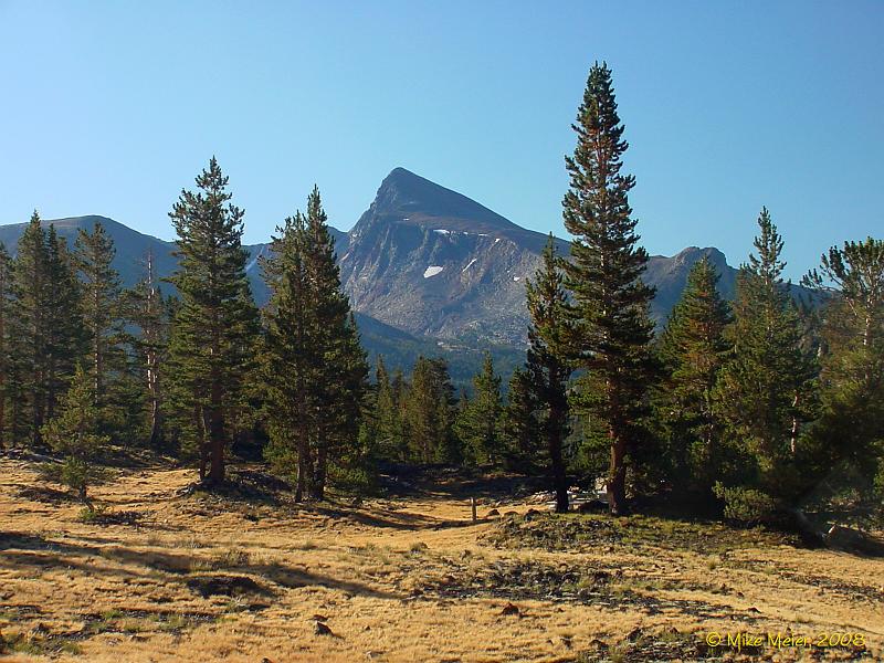 Tioga2003-12.jpg - Mount Dana, from the Sawmill campground area