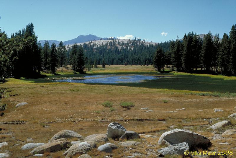 Yosemite-1999-148.jpg - Toulumne Meadows